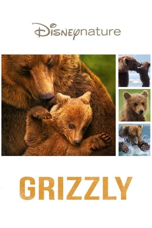 Grizzly